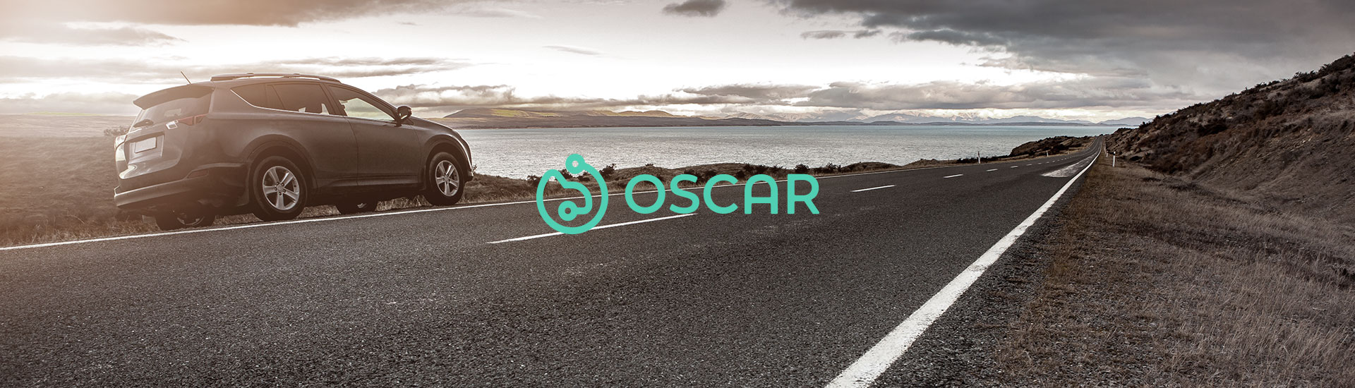 oscar-hero
